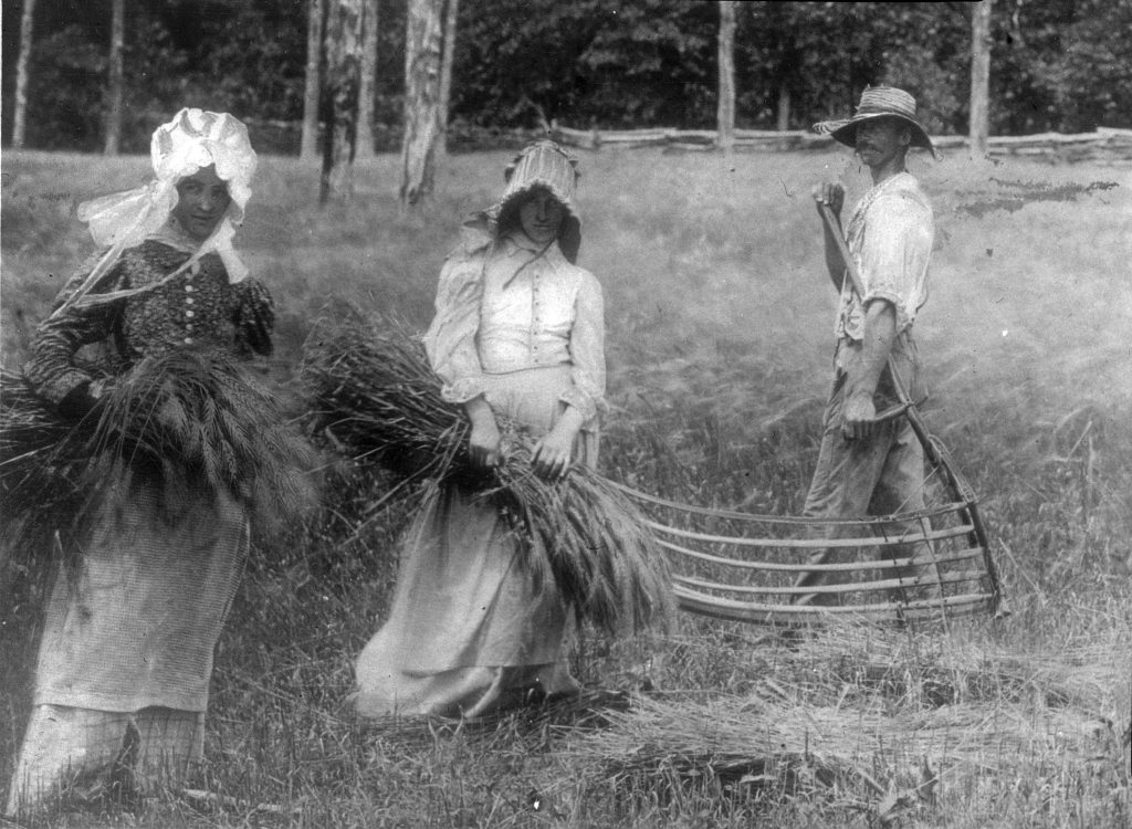 Historical immigration - immigrants working on fields